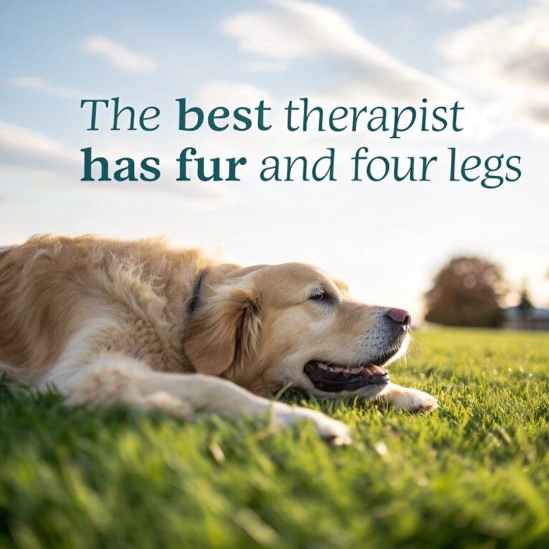 Testimonials image